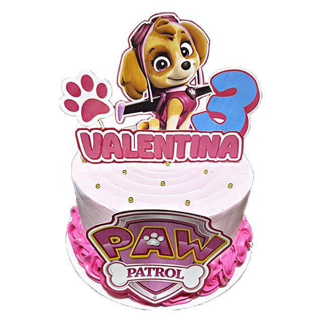Paw Patrol Skye Rosa