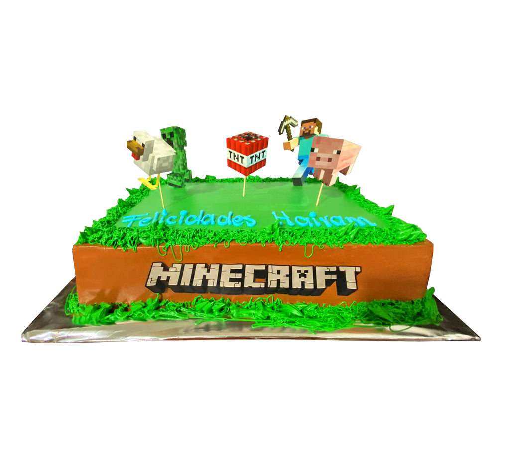 MINECRAFT T.